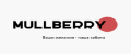 Mullberry