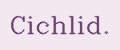 Cichlid.