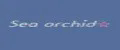 Sea Orchid