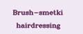 Аналитика бренда Brush-smetki hairdressing на Wildberries