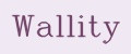 Wallity