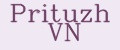 Prituzh VN