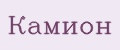 Камион