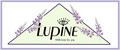 Lupine
