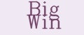 Аналитика бренда Big Win на Wildberries