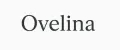 Ovelina