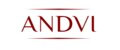 Аналитика бренда ANDVI на Wildberries