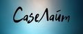 CaseЛайт
