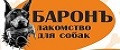 Баронъ