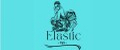 Elastic Style