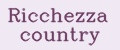 Аналитика бренда Ricchezza country на Wildberries