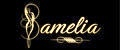 Аналитика бренда Samelia на Wildberries