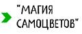 Магия Самоцветов