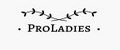 Аналитика бренда ProLadies на Wildberries