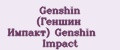 Genshin (Геншин Импакт) Genshin Impact