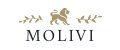 Аналитика бренда MOLIVI на Wildberries