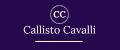 Аналитика бренда Callisto Cavalli на Wildberries