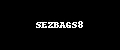 SEZBAGS8