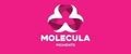 MOLECULA Pigments