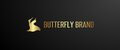 Аналитика бренда Butterfly Brand на Wildberries