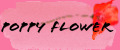 Poppy Flower