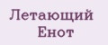 Летающий Енот