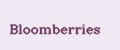 Аналитика бренда Bloomberries на Wildberries