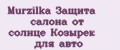 Murzilka Защита салона от солнце Козырек для авто