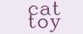 Cat toy