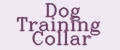 Dog Training Collar