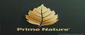 Prime Nature