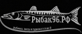 РЫБАК96.РФ