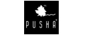 Аналитика бренда PUSHA на Wildberries