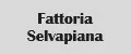 Fattoria Selvapiana