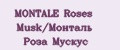 MONTALE Roses Musk/Монталь Роза Мускус