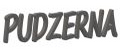 PUDZERNA
