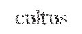 Cultus