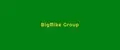BigMike Group