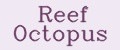 Аналитика бренда Reef Octopus на Wildberries