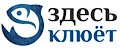 Делфи