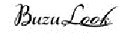 BuzuLook