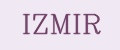 Аналитика бренда IZMIR на Wildberries