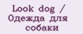 Аналитика бренда Look dog / Одежда для собаки на Wildberries