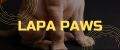 Аналитика бренда Lapa Paws на Wildberries