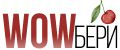Аналитика бренда WOW Бери на Wildberries