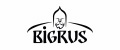 BIGRUS