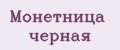 Монетница черная