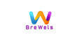 Аналитика бренда BreWels на Wildberries