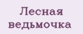 Лесная ведьмочка