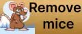 Remove mice